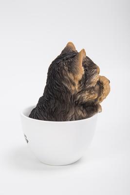 Show full view: Hi-Line Gift Teacup Yorkshire Terrier Puppy Statue, 6-in slide 6 of 7