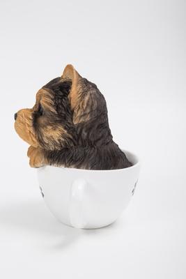 Show full view: Hi-Line Gift Teacup Yorkshire Terrier Puppy Statue, 6-in slide 4 of 7