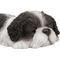 Show in main carousel: Hi-Line Gift Black/White Shih Tzu Puppy Sleeping Statue slide 7 of 8