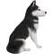 Show in main carousel: Hi-Line Gift Siberian Husky Sitting Statue, 20.08-in slide 3 of 8