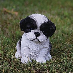 Hi-Line Gift Shih Tzu Puppy Statue, Black & White, 6.5-in