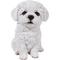 Show in main carousel: Hi-Line Gift Maltese Puppy Statue, 6.75-in slide 2 of 7