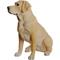 Show in main carousel: Hi-Line Gift Labrador Retriever Sitting Statue, Yellow, 21.25-in slide 4 of 5