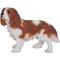 Show in main carousel: Hi-Line Gift King Charles Spaniel Standing Statue, 12.2-in slide 3 of 6