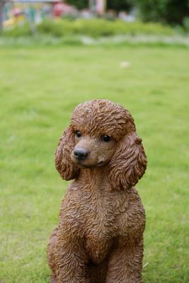 Show full view: Hi-Line Gift Brown Sitting Poodle Statue, 19.09-in slide 6 of 8