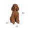 Show in main carousel: Hi-Line Gift Brown Sitting Poodle Statue, 19.09-in slide 8 of 8