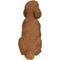 Show in main carousel: Hi-Line Gift Brown Sitting Poodle Statue, 19.09-in slide 4 of 8