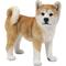 Show in main carousel: Hi-Line Gift Akita Dog Standing Statue, 13.7-in slide 2 of 8