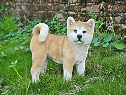 Hi-Line Gift Akita Dog Standing Statue, 13.7-in