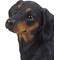 Show in main carousel: Hi-Line Gift Dachshund Dog Statue, 13.58-in slide 7 of 7