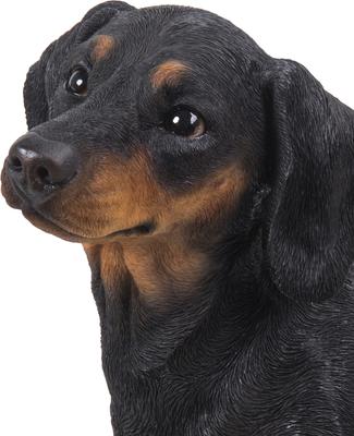 Show full view: Hi-Line Gift Dachshund Dog Statue, 13.58-in slide 7 of 7