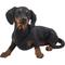 Show in main carousel: Hi-Line Gift Dachshund Dog Statue, 13.58-in slide 2 of 7
