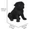 Show in main carousel: Hi-Line Gift Pug Puppy Statue, 7.5-in slide 6 of 6