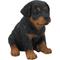 Show in main carousel: Hi-Line Gift Rottweiler Puppy Statue, 6.5-in slide 3 of 8