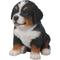 Show in main carousel: Hi-Line Gift Bernese Mountain Dog Puppy Statue, 6.5-in slide 5 of 7