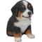 Show in main carousel: Hi-Line Gift Bernese Mountain Dog Puppy Statue, 6.5-in slide 4 of 7