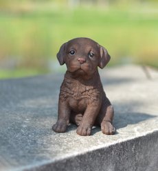 Hi-Line Gift Chocolate Labrador Puppy Statue, 6.5-in