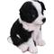 Show in main carousel: Hi-Line Gift Border Collie Puppy Statue, 6.75-in slide 3 of 7