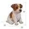 Show in main carousel: Hi-Line Gift Jack Russell Terrier Puppy Statue, 6.5-in slide 7 of 7