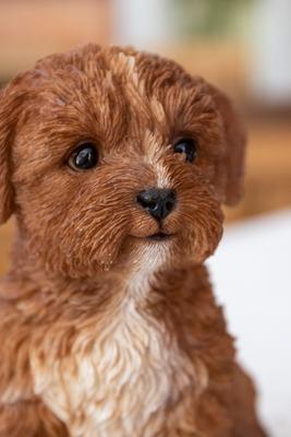 Show full view: Hi-Line Gift Baby Cavapoo Statue, Chocolate, 5.91-in slide 6 of 8