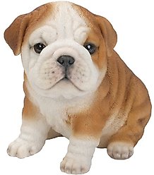 Hi-Line Gift Bulldog Puppy Statue, 6.5-in slide 1 of 5