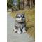 Show in main carousel: Hi-Line Gift Malamute Puppy Sitting Statue, 6.5-in slide 6 of 9