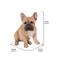 Show in main carousel: Hi-Line Gift French Bulldog Squatting Statue, 15.75-in slide 7 of 7