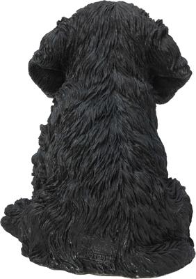 Show full view: Hi-Line Gift Cockapoo Puppy Statue, 5.75-in slide 5 of 5