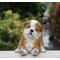 Show in main carousel: Hi-Line Gift Bulldog Sleeping Statue, 11.02-in slide 1 of 7
