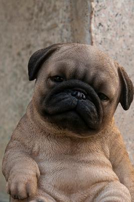 Show full view: Hi-Line Gift Sleepy Pug Puppy Statue slide 7 of 9