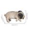 Show in main carousel: Hi-Line Gift Cozy Sleeping Pug Statue slide 7 of 8
