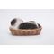 Show in main carousel: Hi-Line Gift Wicker Basket Shih Tzu Puppy Statue, 6-in slide 7 of 8