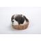 Show in main carousel: Hi-Line Gift Wicker Basket Shih Tzu Puppy Statue, 6-in slide 4 of 8