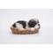 Show in main carousel: Hi-Line Gift Wicker Basket Shih Tzu Puppy Statue, 6-in slide 3 of 8