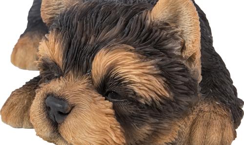 Show full view: Hi-Line Gift Yorkshire Terrier Puppy Sleeping Statue slide 8 of 8