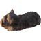 Show in main carousel: Hi-Line Gift Yorkshire Terrier Puppy Sleeping Statue slide 5 of 8