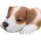Show in main carousel: Hi-Line Gift Jack Russell Puppy Sleeping Statue slide 7 of 7