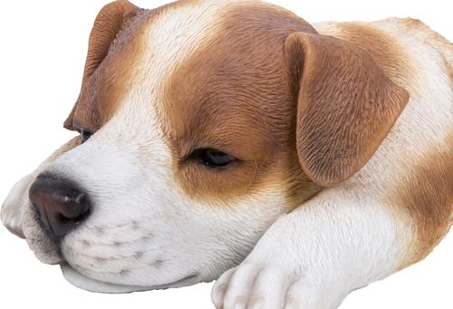 Show full view: Hi-Line Gift Jack Russell Puppy Sleeping Statue slide 7 of 7