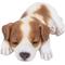 Show in main carousel: Hi-Line Gift Jack Russell Puppy Sleeping Statue slide 2 of 7