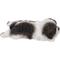 Show in main carousel: Hi-Line Gift Black/White Shih Tzu Puppy Sleeping Statue slide 3 of 8