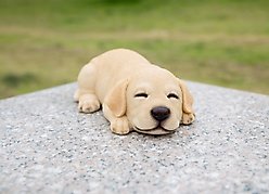 Hi-Line Gift Sleeping Labrador Puppy Statue