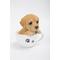 Show in main carousel: Hi-Line Gift Teacup Labrador Puppy Statue, 5.5-in slide 7 of 7