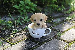 Hi-Line Gift Teacup Labrador Puppy Statue, 5.5-in