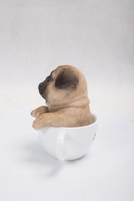 Show full view: Hi-Line Gift Teacup Pug Puppy Statue, 5.75-in slide 4 of 7
