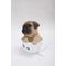 Show in main carousel: Hi-Line Gift Teacup Pug Puppy Statue, 5.75-in slide 3 of 7