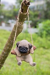 Hi-Line Gift Hanging Pug Puppy Statue, 4.5-in