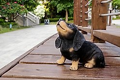 Hi-Line Gift Howling Dachshund Puppy Statue, 6.18-in