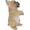 Show in main carousel: Hi-Line Gift Standing French Bulldog Statue, 7.68-in slide 5 of 8