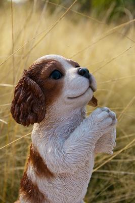 Show full view: Hi-Line Gift Praying Cavalier King Charles Spaniel Puppy Statue, 8.66-in slide 7 of 8