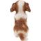 Show in main carousel: Hi-Line Gift Praying Cavalier King Charles Spaniel Puppy Statue, 8.66-in slide 3 of 8